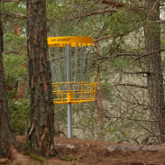 Treedirection Disc Golf Open